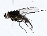 ( - BIOUG72944-E12)  @11 [ ] CreativeCommons - Attribution (2022) CBG Photography Group Centre for Biodiversity Genomics