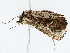  ( - BIOUG72945-B01)  @11 [ ] CreativeCommons - Attribution (2022) CBG Photography Group Centre for Biodiversity Genomics