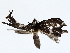  ( - BIOUG72945-B04)  @11 [ ] CreativeCommons - Attribution (2022) CBG Photography Group Centre for Biodiversity Genomics