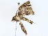  ( - BIOUG72945-B07)  @11 [ ] CreativeCommons - Attribution (2022) CBG Photography Group Centre for Biodiversity Genomics