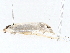  ( - BIOUG76539-E10)  @11 [ ] CreativeCommons - Attribution (2022) CBG Photography Group Centre for Biodiversity Genomics