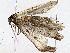  ( - BIOUG76540-D01)  @11 [ ] CreativeCommons - Attribution (2022) CBG Photography Group Centre for Biodiversity Genomics