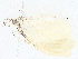  ( - BIOUG76540-D04)  @11 [ ] CreativeCommons - Attribution (2022) CBG Photography Group Centre for Biodiversity Genomics