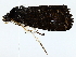  ( - BIOUG77727-D07)  @11 [ ] CreativeCommons - Attribution (2022) CBG Photography Group Centre for Biodiversity Genomics