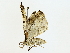  ( - BIOUG77727-E02)  @11 [ ] CreativeCommons - Attribution (2022) CBG Photography Group Centre for Biodiversity Genomics