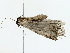  ( - BIOUG77727-E03)  @11 [ ] CreativeCommons - Attribution (2022) CBG Photography Group Centre for Biodiversity Genomics