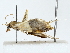  ( - BIOUG77727-G12)  @11 [ ] CreativeCommons - Attribution (2022) CBG Photography Group Centre for Biodiversity Genomics