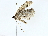  ( - BIOUG77729-A10)  @11 [ ] CreativeCommons - Attribution (2022) CBG Photography Group Centre for Biodiversity Genomics