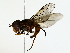  ( - BIOUG77729-H04)  @11 [ ] CreativeCommons - Attribution (2022) CBG Photography Group Centre for Biodiversity Genomics