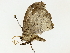  ( - BIOUG77730-D01)  @11 [ ] CreativeCommons - Attribution (2022) CBG Photography Group Centre for Biodiversity Genomics