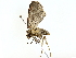  ( - BIOUG77730-D03)  @11 [ ] CreativeCommons - Attribution (2022) CBG Photography Group Centre for Biodiversity Genomics