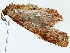  ( - BIOUG77730-D12)  @11 [ ] CreativeCommons - Attribution (2022) CBG Photography Group Centre for Biodiversity Genomics