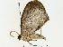  ( - BIOUG77730-E01)  @11 [ ] CreativeCommons - Attribution (2022) CBG Photography Group Centre for Biodiversity Genomics