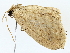  ( - BIOUG77731-C08)  @11 [ ] CreativeCommons - Attribution (2022) CBG Photography Group Centre for Biodiversity Genomics