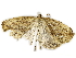  ( - BIOUG85269-H03)  @11 [ ] CreativeCommons - Attribution (2022) CBG Photography Group Centre for Biodiversity Genomics