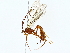  ( - BIOUG85270-B11)  @11 [ ] CreativeCommons - Attribution (2022) CBG Photography Group Centre for Biodiversity Genomics