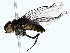  ( - BIOUG85270-E10)  @11 [ ] CreativeCommons - Attribution (2022) CBG Photography Group Centre for Biodiversity Genomics