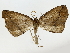  ( - BIOUG85301-F02)  @11 [ ] CreativeCommons - Attribution (2022) CBG Photography Group Centre for Biodiversity Genomics