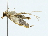  ( - BIOUG85302-B02)  @11 [ ] CreativeCommons - Attribution (2022) CBG Photography Group Centre for Biodiversity Genomics