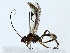  ( - BIOUG85302-C12)  @11 [ ] CreativeCommons - Attribution (2022) CBG Photography Group Centre for Biodiversity Genomics