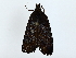  ( - BIOUG85302-E03)  @11 [ ] CreativeCommons - Attribution (2022) CBG Photography Group Centre for Biodiversity Genomics