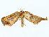  ( - BIOUG85451-A06)  @11 [ ] CreativeCommons - Attribution (2022) CBG Photography Group Centre for Biodiversity Genomics
