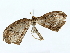  ( - BIOUG85451-A08)  @11 [ ] CreativeCommons - Attribution (2022) CBG Photography Group Centre for Biodiversity Genomics