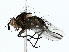  ( - BIOUG85451-C03)  @11 [ ] CreativeCommons - Attribution (2022) CBG Photography Group Centre for Biodiversity Genomics