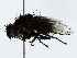  ( - BIOUG85451-F12)  @11 [ ] CreativeCommons - Attribution (2022) CBG Photography Group Centre for Biodiversity Genomics