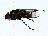  ( - BIOUG85452-C09)  @11 [ ] CreativeCommons - Attribution (2022) CBG Photography Group Centre for Biodiversity Genomics