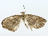  ( - BIOUG85452-D10)  @11 [ ] CreativeCommons - Attribution (2022) CBG Photography Group Centre for Biodiversity Genomics