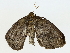  ( - BIOUG85452-E02)  @11 [ ] CreativeCommons - Attribution (2022) CBG Photography Group Centre for Biodiversity Genomics