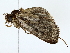  ( - BIOUG85453-F10)  @11 [ ] CreativeCommons - Attribution (2022) CBG Photography Group Centre for Biodiversity Genomics