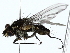  ( - BIOUG85454-B11)  @11 [ ] CreativeCommons - Attribution (2022) CBG Photography Group Centre for Biodiversity Genomics
