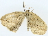  ( - BIOUG85454-E11)  @11 [ ] CreativeCommons - Attribution (2022) CBG Photography Group Centre for Biodiversity Genomics