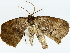  ( - BIOUG85454-F03)  @11 [ ] CreativeCommons - Attribution (2022) CBG Photography Group Centre for Biodiversity Genomics