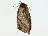  ( - BIOUG77731-F02)  @11 [ ] CreativeCommons - Attribution (2022) CBG Photography Group Centre for Biodiversity Genomics