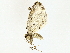  ( - BIOUG77731-H03)  @11 [ ] CreativeCommons - Attribution (2022) CBG Photography Group Centre for Biodiversity Genomics