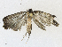  ( - CBG-A16706-D11)  @11 [ ] CreativeCommons - Attribution Share - Alike (2023) CBG Photography Group Centre for Biodiversity Genomics