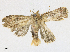  ( - CBG-A16706-G05)  @11 [ ] CreativeCommons - Attribution Share - Alike (2023) CBG Photography Group Centre for Biodiversity Genomics