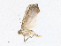  ( - CBG-A16706-H02)  @11 [ ] CreativeCommons - Attribution Share - Alike (2023) CBG Photography Group Centre for Biodiversity Genomics