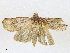  ( - CBG-A16707-A06)  @11 [ ] CreativeCommons - Attribution Share - Alike (2023) CBG Photography Group Centre for Biodiversity Genomics