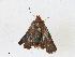  ( - CBG-A16707-A08)  @11 [ ] CreativeCommons - Attribution Share - Alike (2023) CBG Photography Group Centre for Biodiversity Genomics