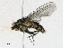  ( - CBG-A16707-D05)  @11 [ ] CreativeCommons - Attribution Share - Alike (2023) CBG Photography Group Centre for Biodiversity Genomics