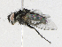  ( - CBG-A16707-F04)  @11 [ ] CreativeCommons - Attribution Share - Alike (2023) CBG Photography Group Centre for Biodiversity Genomics
