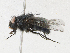  ( - CBG-A16707-F12)  @11 [ ] CreativeCommons - Attribution Share - Alike (2023) CBG Photography Group Centre for Biodiversity Genomics
