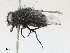  ( - CBG-A16707-G03)  @11 [ ] CreativeCommons - Attribution Share - Alike (2023) CBG Photography Group Centre for Biodiversity Genomics