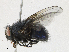 ( - CBG-A16707-G06)  @11 [ ] CreativeCommons - Attribution Share - Alike (2023) CBG Photography Group Centre for Biodiversity Genomics