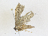  ( - CBG-A21657-C06)  @11 [ ] CreativeCommons - Attribution Share - Alike (2023) CBG Photography Group Centre for Biodiversity Genomics