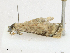  ( - CBG-A21657-C09)  @11 [ ] CreativeCommons - Attribution Share - Alike (2023) CBG Photography Group Centre for Biodiversity Genomics